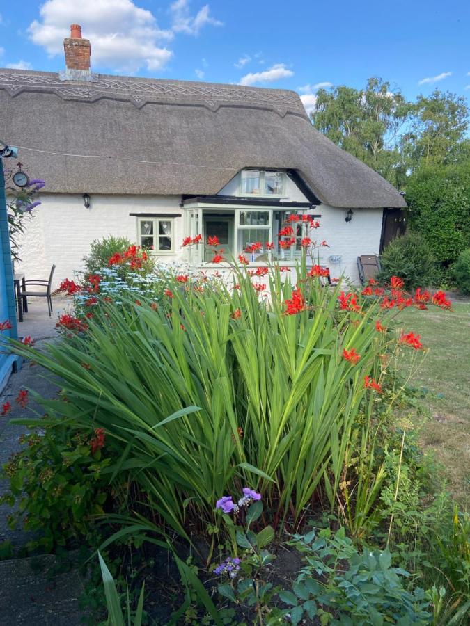 Thatch Cottage, East Boldre Nr Beaulieu And Lymington Brockenhurst Exteriör bild